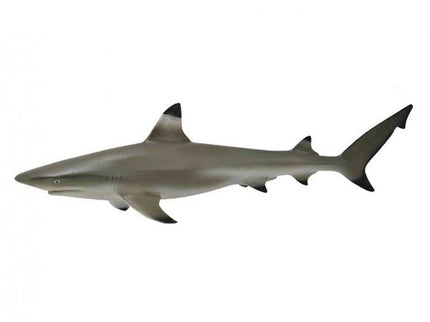TIBURÓN PUNTA NEGRA - M - 88726 - COLLECTA
