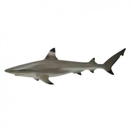 TIBURÓN PUNTA NEGRA - M - 88726 - COLLECTA