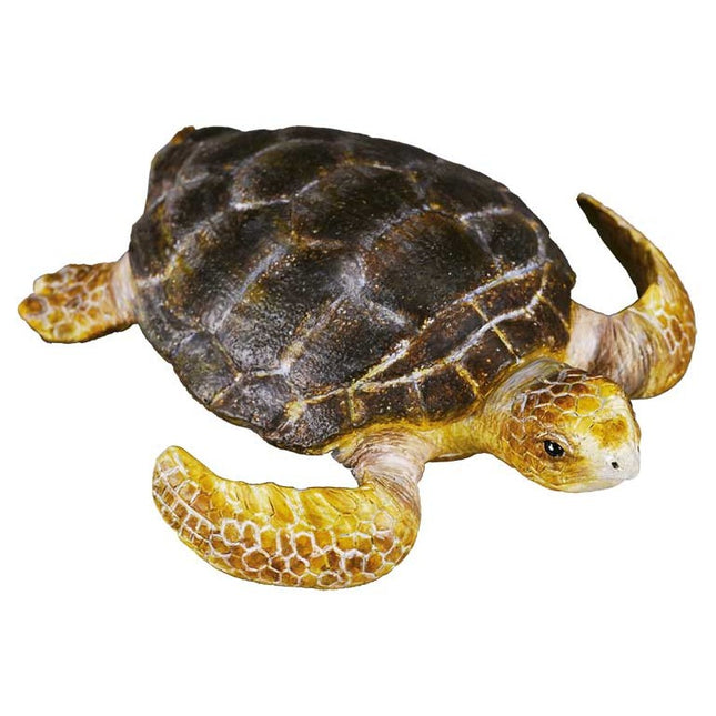 TORTUGA BOBA - M - 88094 - COLLECTA