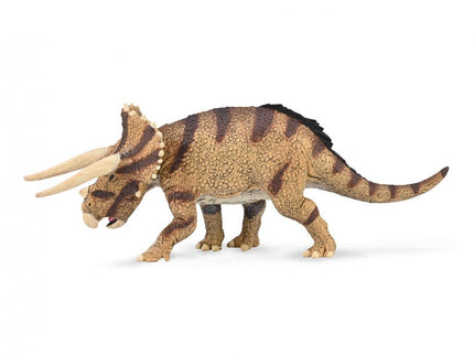 TRICERATOPS HORRIDUS ENFRENTADO - L - 88969 - COLLECTA