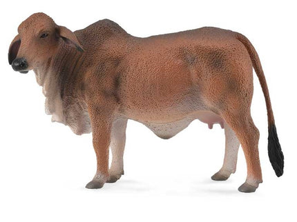 VACA BRAHMAN ROJO -L- 88600 COLLECTA