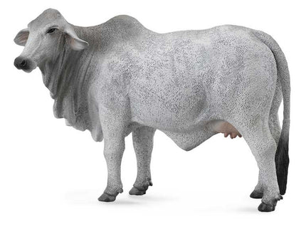 VACA BRAHMNA -L- 88580 COLLECTA