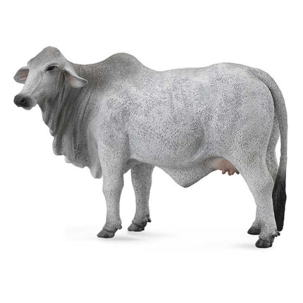 VACA BRAHMNA -L- 88580 COLLECTA