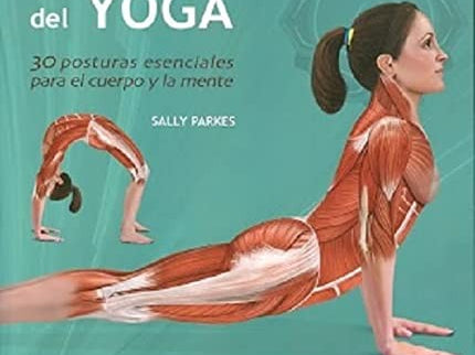 Anatom¡a del Yoga - Sally Parkes - Otros