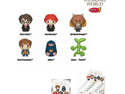 Wizarding World Imáns 3D Series 1 Expositor (12)