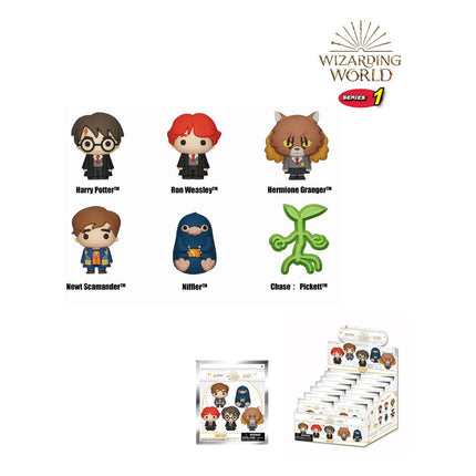 Wizarding World Imáns 3D Series 1 Expositor (12)