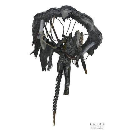 Alien: Romulus Figura Deluxe Suspended Lab Xenomorph XX121 18 cm