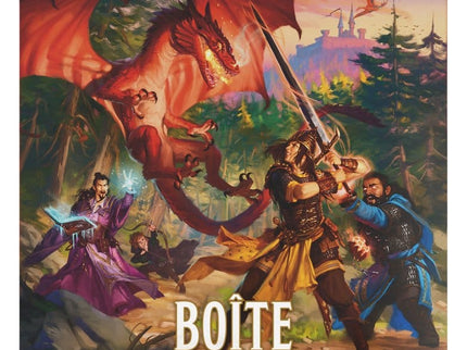 Dungeons &amp; Dragons RPG Caja de inicio: Les Héros des Confins du pays francés